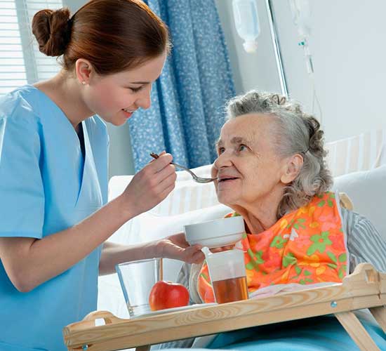 Feeding & Special Diet